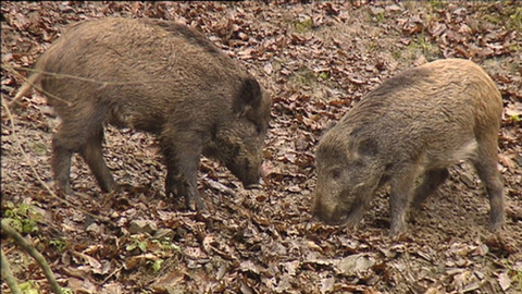 Chcete mě? - 8. dubna 2018
