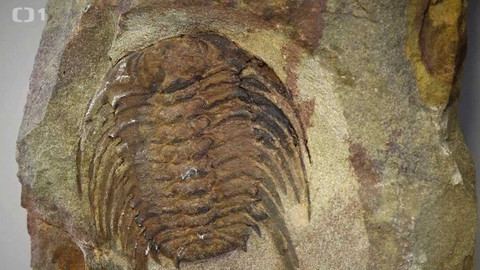 Gejzír - 11. května 2017