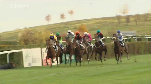 Turf - 2. listopadu 2016