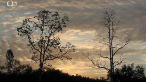 Objektiv - 10. srpna 2014