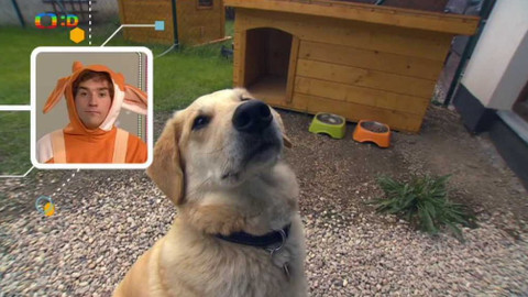 Telefon - 2. října 2015