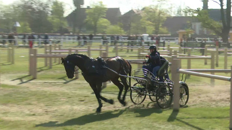 Jezdectví - Rudolfův pohár