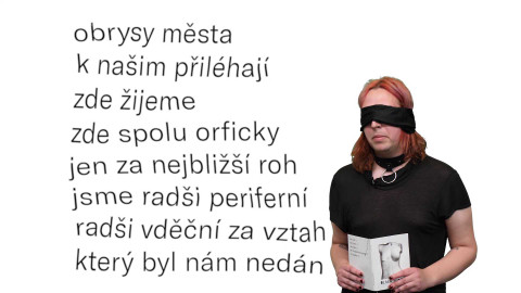 Jedna báseň - Marie Feryna