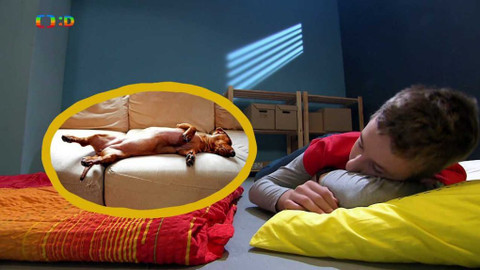 Terčin zvířecí svět - 20. března 2020