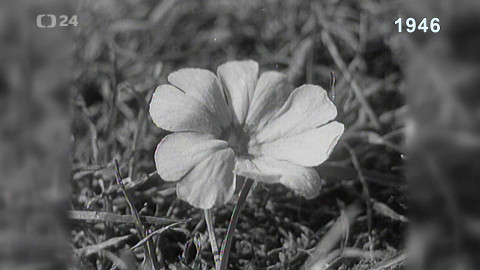 Archiv ČT24 - Když přichází jaro