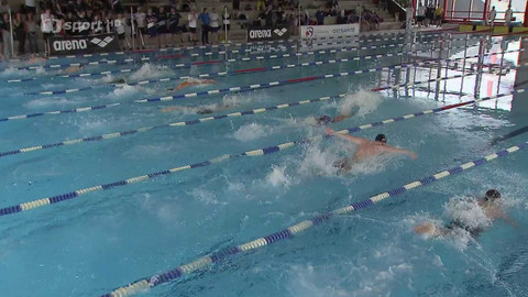 Plavání - Velká cena Ostravy