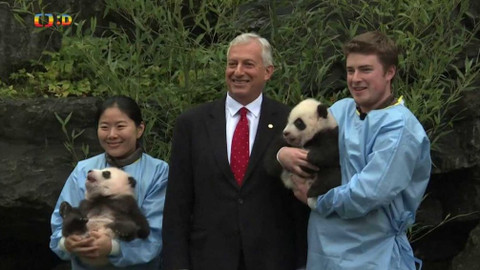 Zprávičky - 15. listopadu 2019