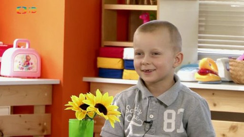 Paličky - Počítač