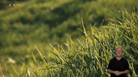 Staré pověsti české pro děti - 5/10 Bruncvík, Opatovický poklad, Založení Nového města pražského