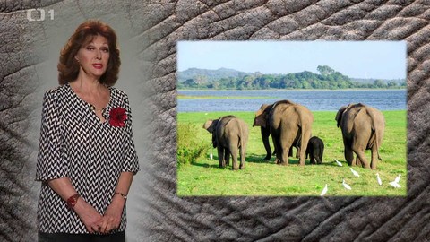 Kalendárium - 21. září