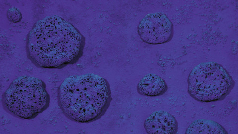 Mistrovská díla - Yves Klein – Modrá harmonie