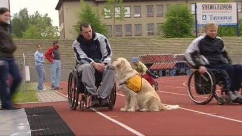 Paralympijský magazín - 26. května 2010