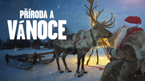 Příroda a Vánoce
