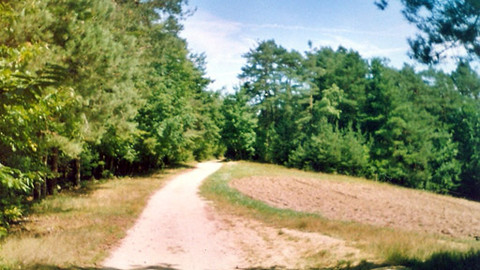 Bohoslužby v České televizi - Prachatická národní pouť ke sv. Janu Nepomuku Neumannovi