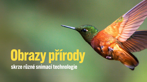 Obrazy přírody skrze různé snímací technologie