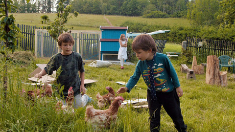 Český žurnál - Slepice, virus a my