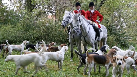 Naše tradice - Lovecké hony