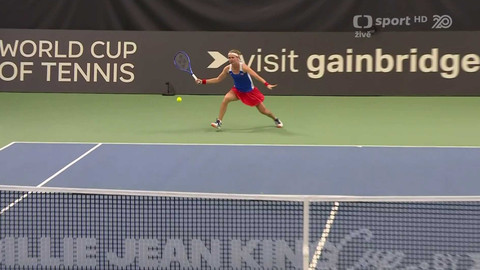 Billie Jean King Cup - Švýcarsko - Česko