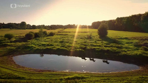 Kapka vody - Ptačí park Josefovské louky