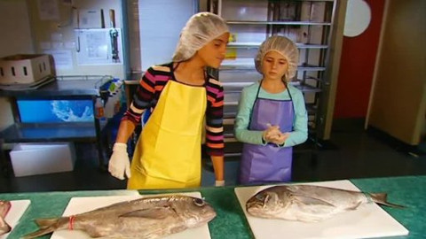 Věda je detektivka - Epizoda 14/26