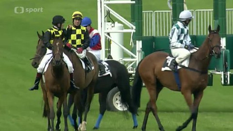 Jezdectví - St.Leger