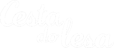 Cesta do lesa