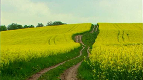 Popularis - 14. června 2005