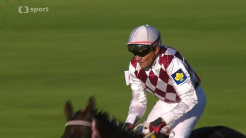 Velká pardubická - historie - 2013