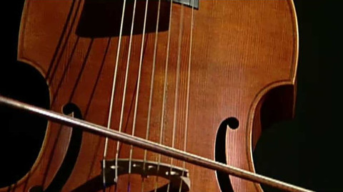 Hudební vizitka - Škampovo kvarteto