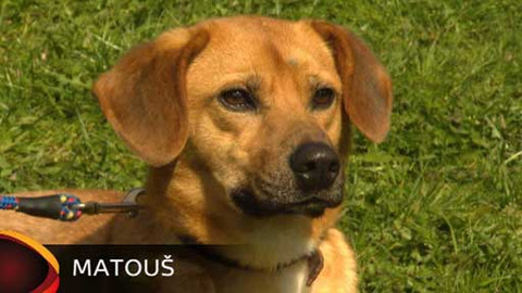 Chcete mě? - Chcete je?