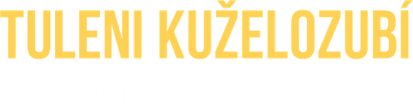 Tuleni kuželozubí na nové životní pouti