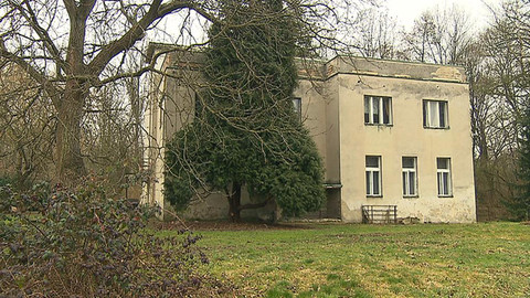 Z metropole - 5. března 2016