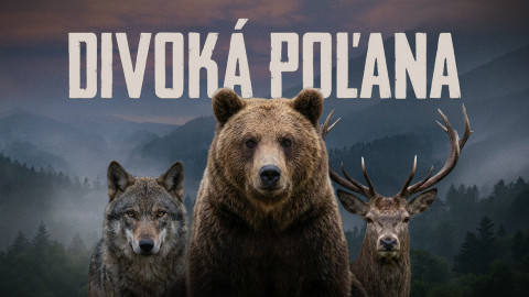 Divoká Poľana