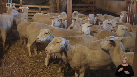 Chcete mě? - 7. ledna 2018