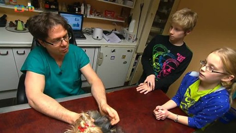 Náš zvěřinec - Lesní ZOO