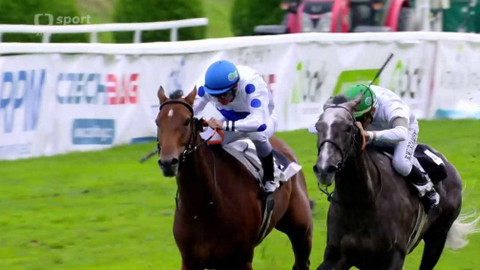 Dostihy - Evropský pohár žokejů