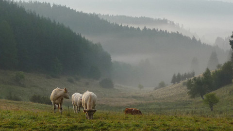 Klenoty naší krajiny - 1/8 Slavkovský les