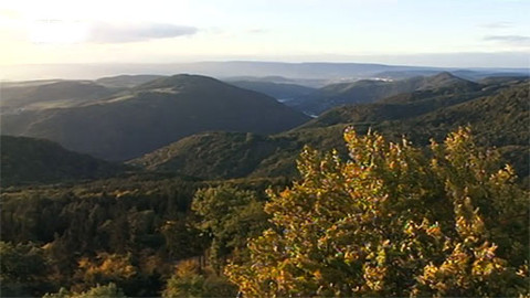 Toulavá kamera - 11. listopadu 2012