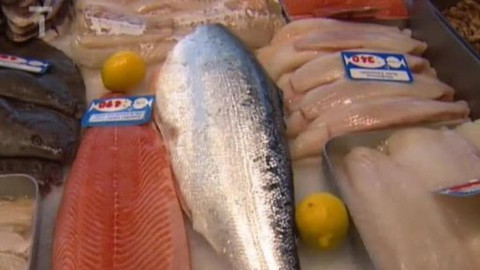 Postřehy odjinud - Benelux očima Milana Fridricha