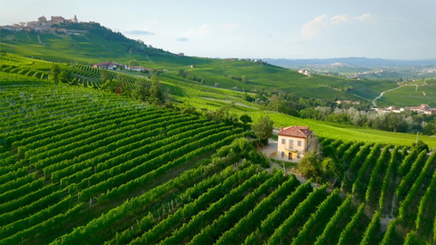 Milovníci vína - 11/12 Trochu jiný příběh