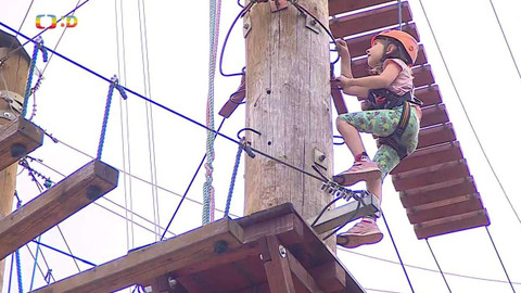 Zprávičky - 8. července 2022