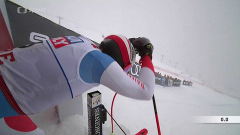 MS v alpském lyžování 2019 Švédsko - Sjezd mužů