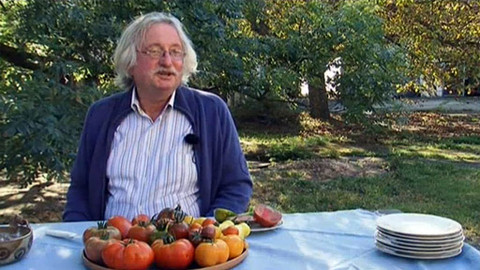 Tykve, dýně aneb Víme, co jíme?