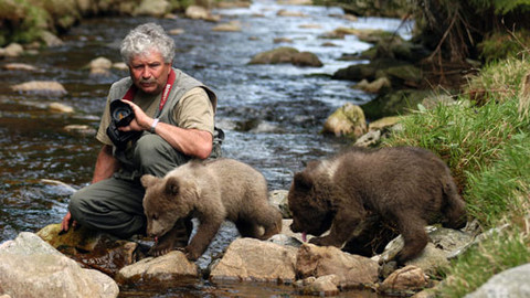 Méďové - Výlet do nemocného lesa