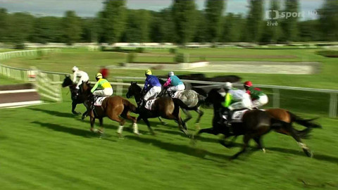 Dostihy - Pardubické dostihy