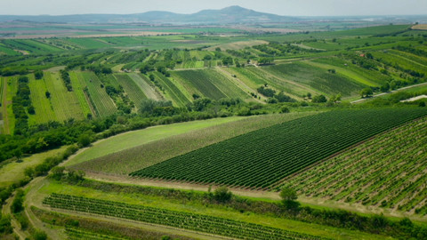 Milovníci vína - 9/16 Rakousko - Frankovka