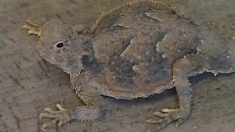 Toulavá kamera - 26. února 2006