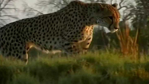 Objektiv - 2. listopadu 2003