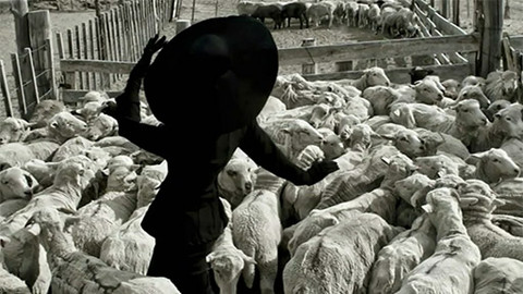 Queer - Buenos Artes