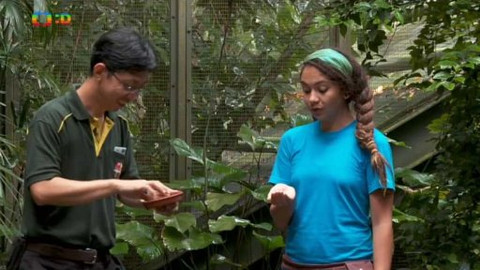 Světoběžky - Přirozeně Singapur